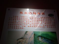 -上海昆虫博物馆