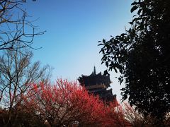 -杭州半山国家森林公园