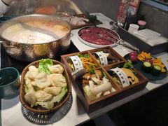 -椰子湾·海南火锅·糟粕醋·椰子鸡(正大广场店)