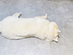 -梁姐啤酒鱼(兴坪古镇店)