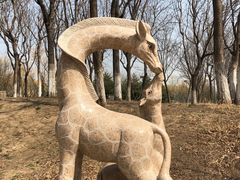 -仰山公园
