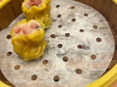 -国家五钻酒家·西樵旺阁渔村(西樵店)
