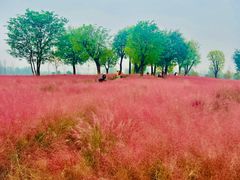 -汉长安城未央宫国家考古遗址公园