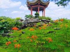 -顺峰山公园