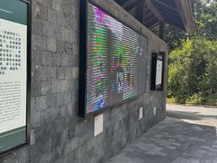 -三亚亚龙湾人间天堂鸟巢度假村