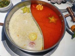 -濠七糟粕醋•海南酸汤火锅(中关村店)
