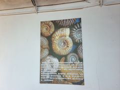 -房山世界地质公园博物馆