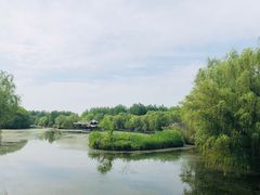 -溱湖国家湿地公园