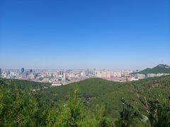 -佛慧山