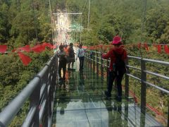 -九龙江国家森林公园