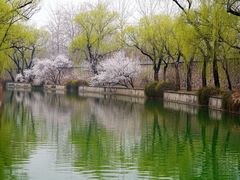 -颐和园