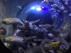 -成都浩海立方海洋公园