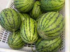 -食悦江南·淮扬菜·烤鸭(亚运村·惠新店)