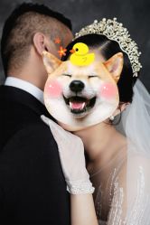 -青禾蒙娜丽莎婚纱摄影(武汉总店)
