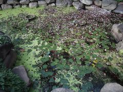 -绍兴鉴湖君澜大酒店