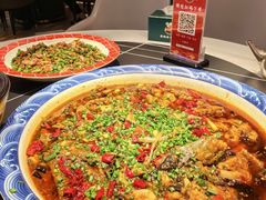-新概念来凤鱼(璧山店)