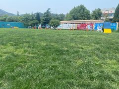 -趣玩宠物乐园寄养训犬训狗游泳池