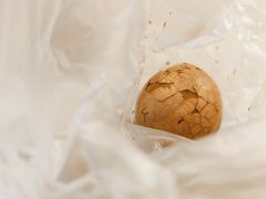 -全家便利店(花园路店)