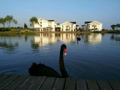 -明珠湖天鹅苑·农家菜馆