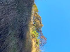 -石台牯牛降景区