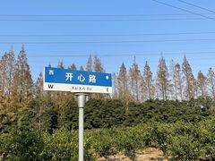 -上海长兴岛郊野公园