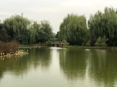 -南阳建业森林半岛假日酒店