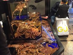 -蟹道乐(道顿堀本店)