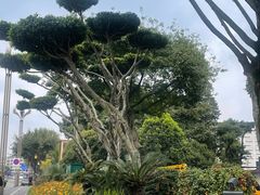 -温江公园