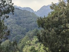 -泰山风景名胜区