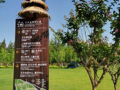 -上海长兴岛郊野公园