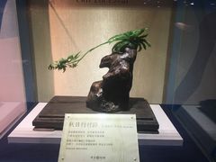 珊瑚-绮丽珊瑚(台北101旗舰门市店)