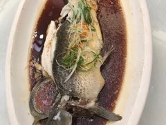 -金狮麟·新豫菜(金码大厦店)