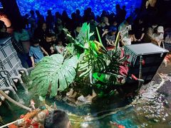 -太平洋海底世界