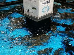 -盒马鲜生(文景博乐里购物广场店)