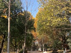 -合肥野生动物园