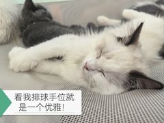-万达广场(大明宫店)
