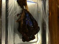 android_upload_pic-赵元章肉骨烧(山塘街店)