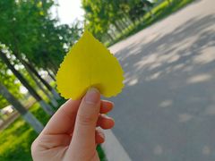 -汉长安城未央宫国家考古遗址公园