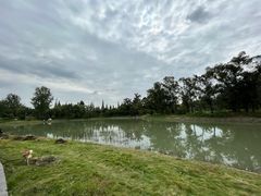 -两河城市森林公园