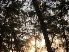 -北海金海湾红树林生态旅游区