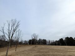 -北京西山国家森林公园