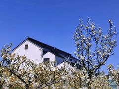 -树山生态村
