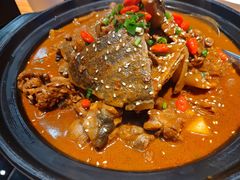 甲鱼锅-洪湘记川湘·甲鱼馆(四海凯悦美食广场店)