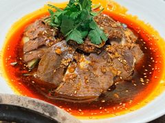 -杨肥肠火锅大排档(火车站花园店)