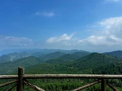 -武陵山森林公园