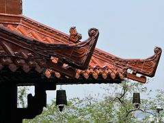 -东湖磨山景区