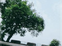 -威远炮台