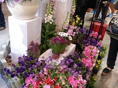 -东浩兰生上海世博展览馆