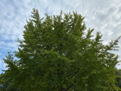 -苏州河梦清园环保主题公园