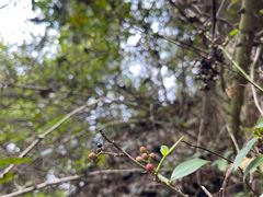 -幕燕滨江·长江观音景区